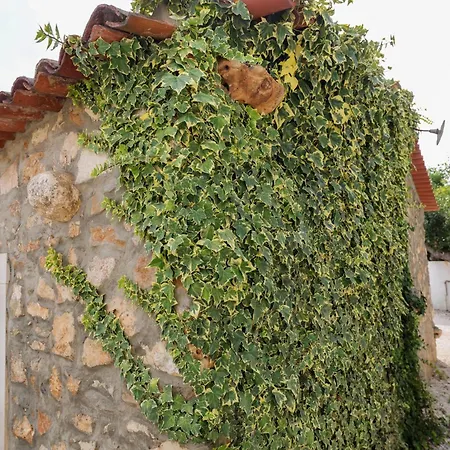 Renovated Wine Press House - With Pool Casa vacanze Porto de Mós