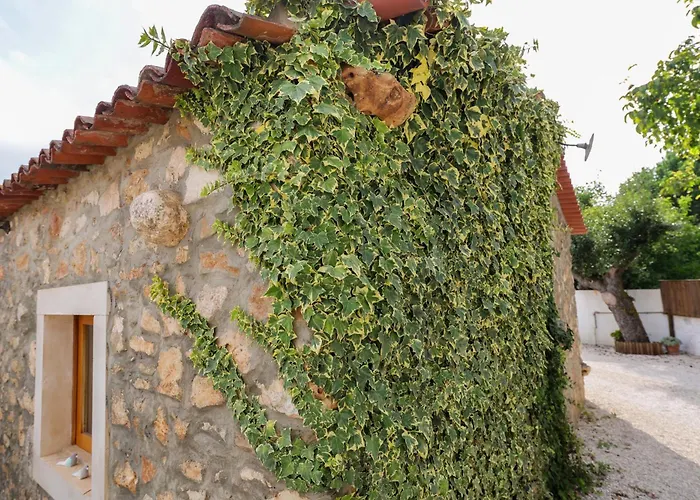 Renovated Wine Press House - With Pool Σπίτι διακοπών Porto de Mós